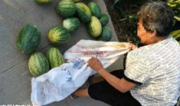 长垣吃瓜最新事件爆料,最新爆料揭秘背后真相