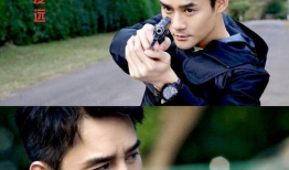 跨国追逃电视剧,猎狐行动背后的正义之战